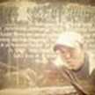 Habibie Taufiq