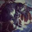 Reni