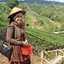 Anthy Arifin