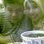 Widya AsTuti