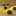 Foodygraph Foodygraph