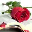 Farzaneh.o