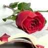 Farzaneh.o Farzaneh.o