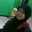 Hanifah A. 