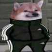 wadarinha