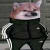 wadarinha