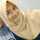 Fia Alifah Putri Fia Alifah Putri