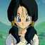 Videl GX
