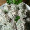 MiHfo (Mi and Healthy Food)