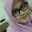 Fiqa Dwi Astuti Fiqa Dwi Astuti