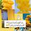 Doha Abdallah
