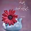 Arezoo Zaheri