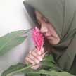 Wahyuu N