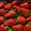 sweety