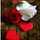 MARIA AQEEL@ MARIA AQEEL@