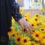 خانم محمدی🌻