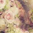 marvilma09@gmail.com