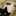 Lizy Stewart Lizy Stewart