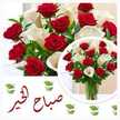 نهى ابراهيم