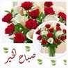 نهى ابراهيم