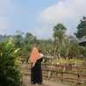 Dian Andini