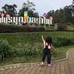 alma rasyid