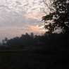 alifah alifah