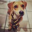 Pame R