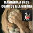 Canela Bruma