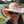 Hannah Pursey