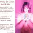 Irma Fabriccini me gusto muy facil 