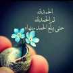 Laiale Alrfou