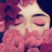 Hiba