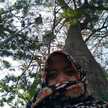 anniy