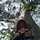 anniy