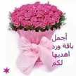 Joud Mahmoud