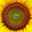 mozhdeh_enfirad