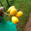 Atito Nandwa