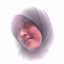Yani Retno Hapsari