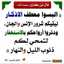 ام يمنى
