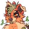 Sage Willow Sage Willow