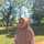Yulia Dewi Arief Fanti Yulia Dewi Arief Fanti