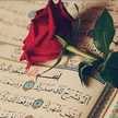 Om Omar
