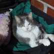 Samy