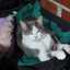Samy