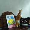 Fika_iw