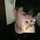 lu_riecn