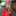 Amy Almeyda Lanur Amy Almeyda Lanur