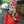 Amy Almeyda Lanur Amy Almeyda Lanur