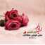 Doaa Hassan